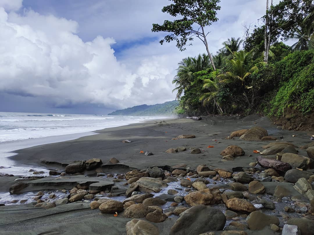 Corcovado National Park