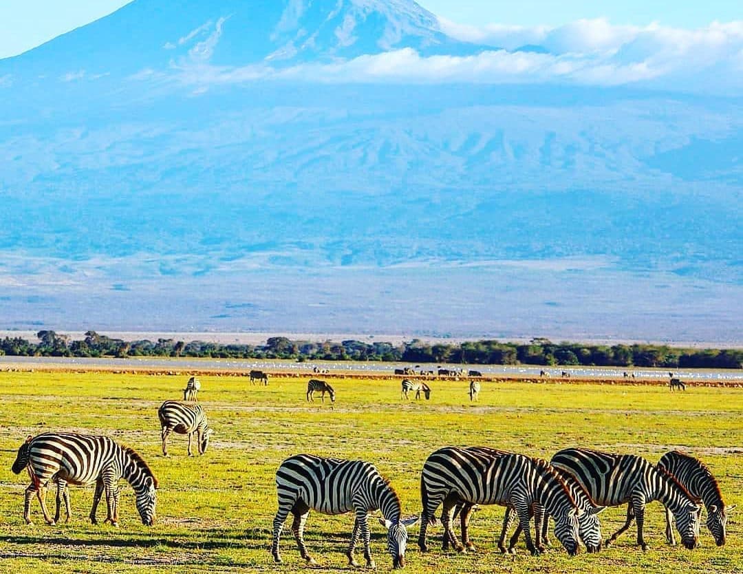 Kenya and Tanzania border