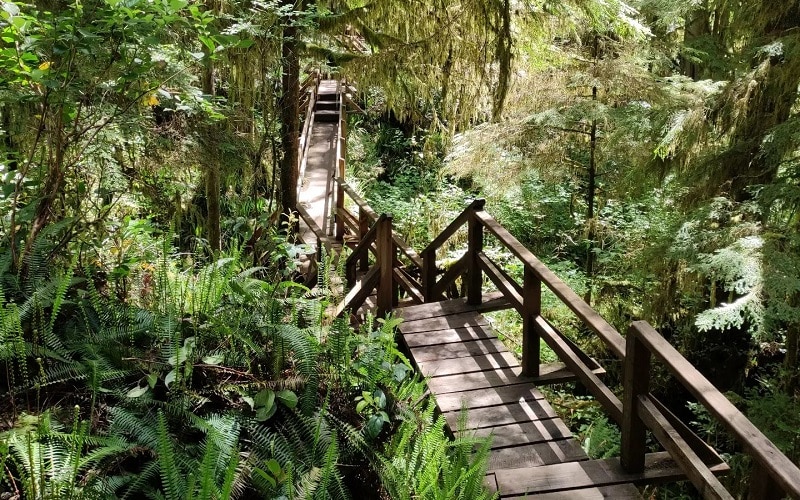 Pacific Rim National Park