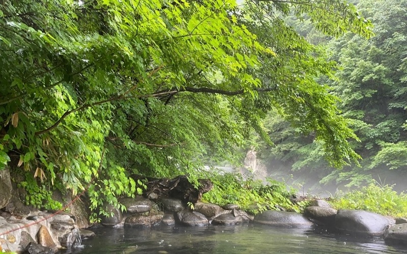 Bathe in La Fortuna Springs