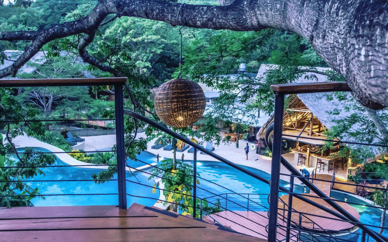 Tree Casa Resort